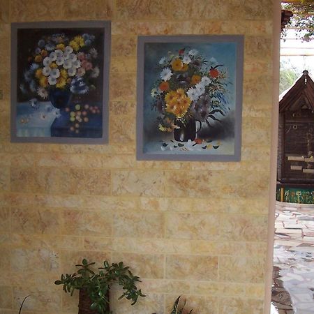 Ideal Studios Amoudara Lasithiou المظهر الخارجي الصورة